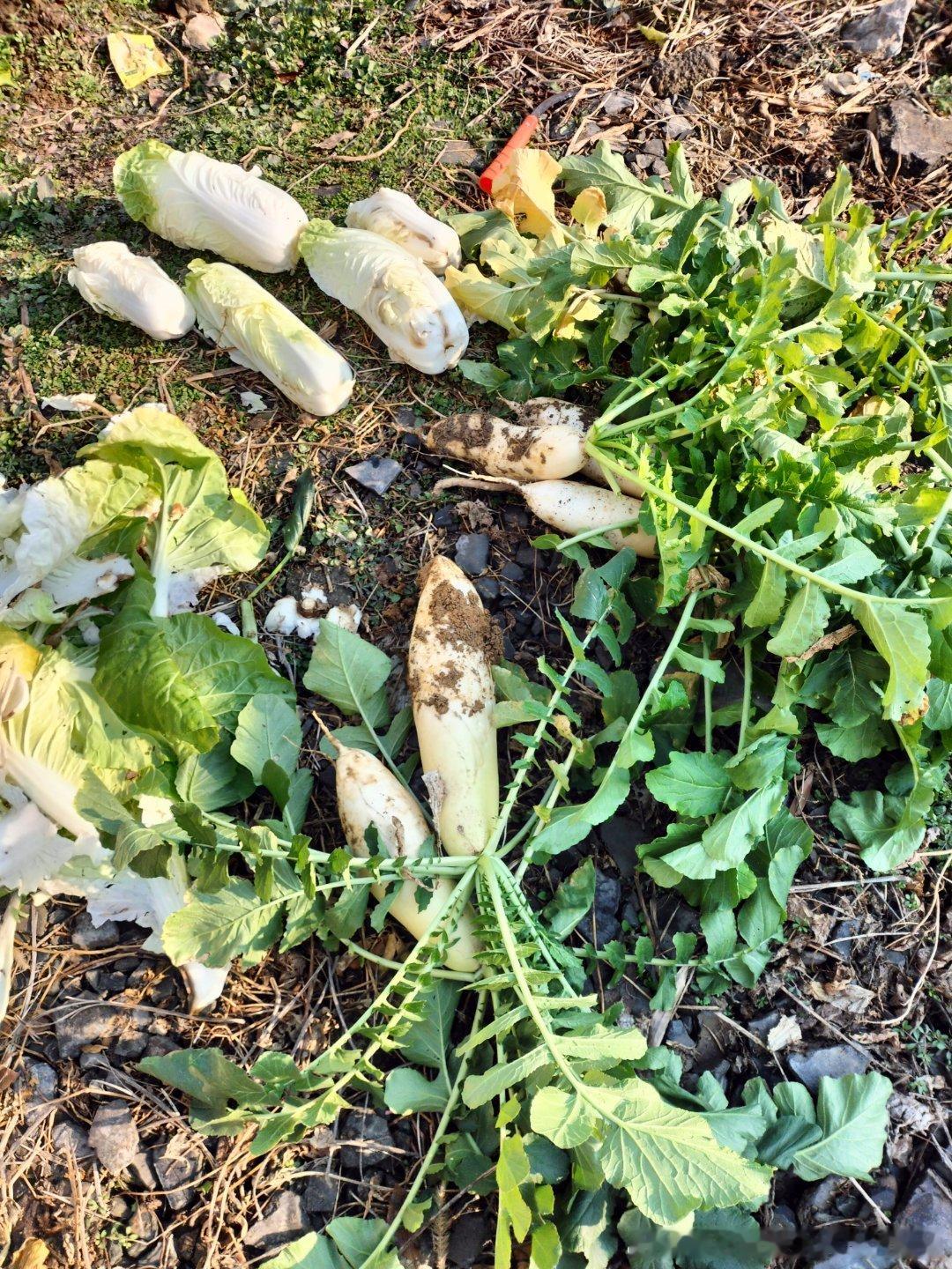 罗永浩回应是否与王自如和解罗永浩比王自如是要高一个级别毕竟王自如也负债也打工了也