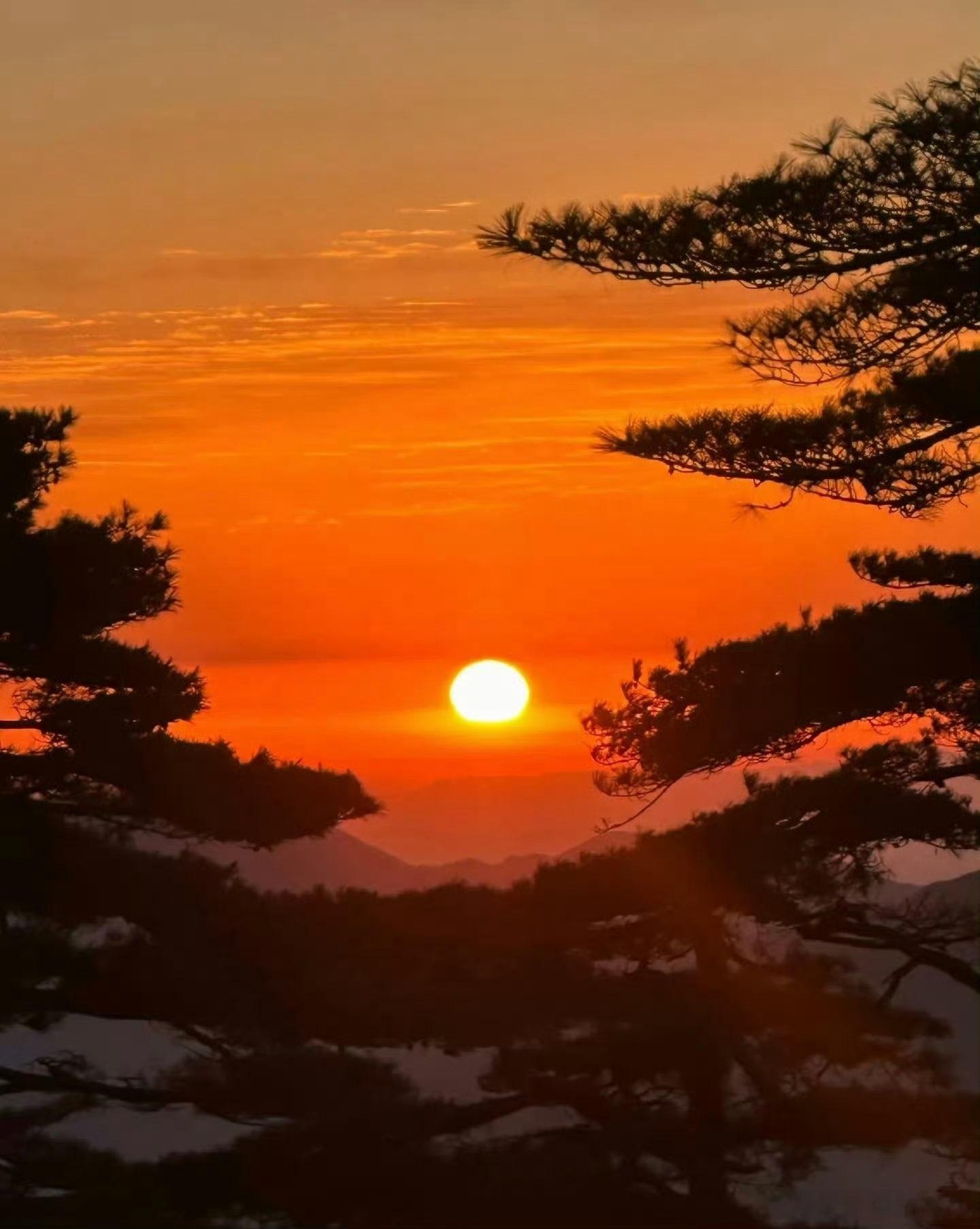 一个人真正的修养不是教出来的，而是一种先天的善根，来自于多世的修行。这种人的自觉