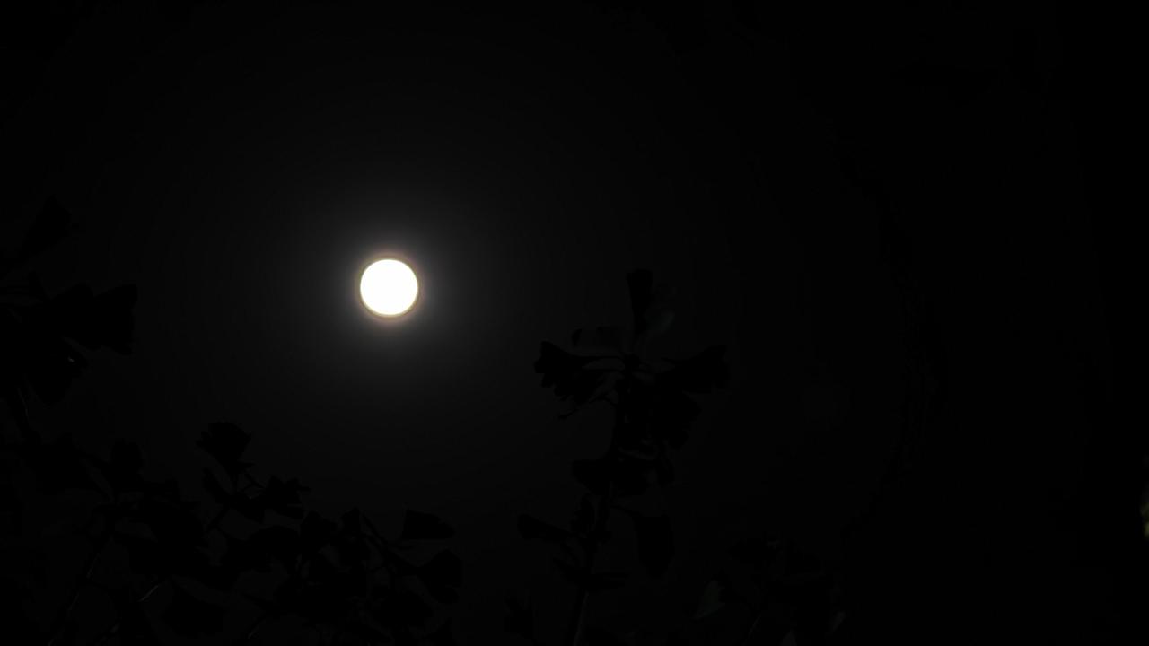 明月几时有，把酒问青天