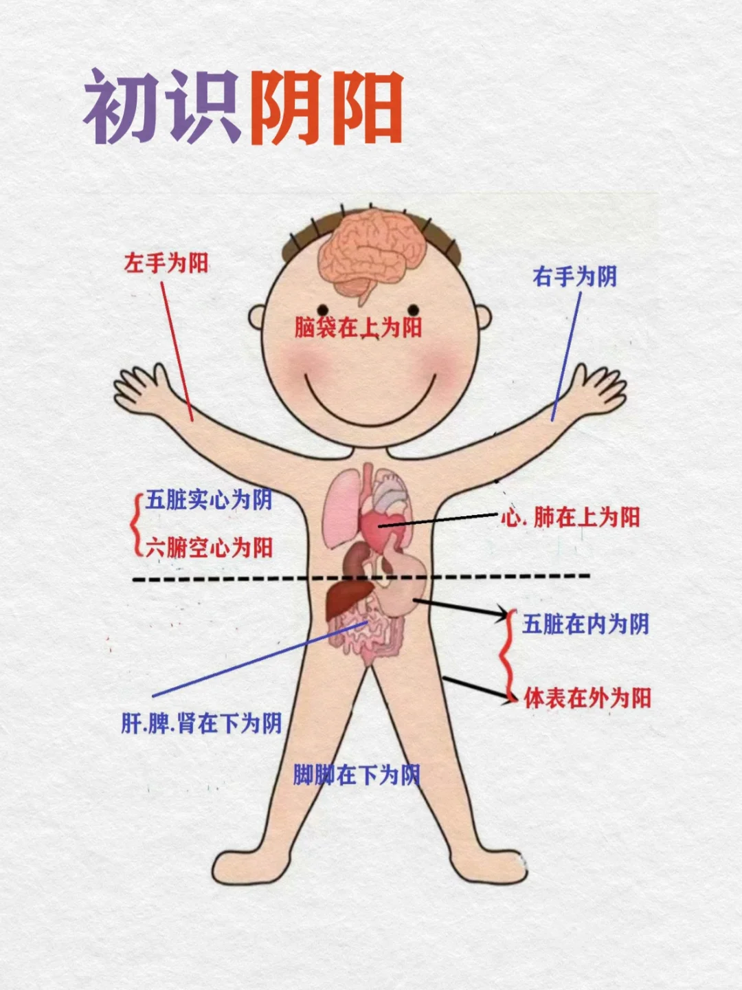 0基础学古中医01天｜初识阴阳