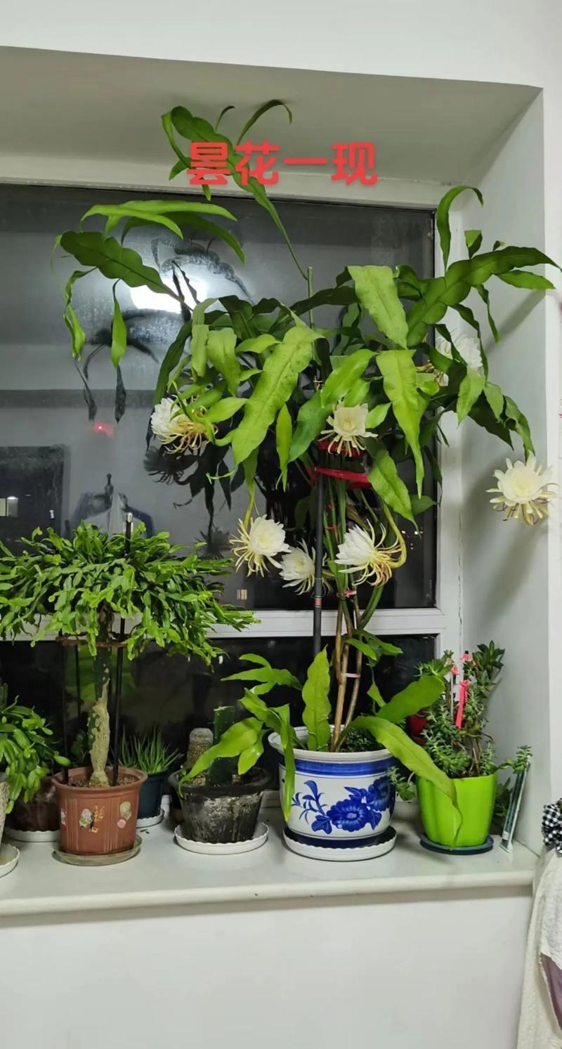 维生素涨价不是昙花一现！这波涨势，才刚刚开始

别以为维生素涨价只是一阵风，吹过