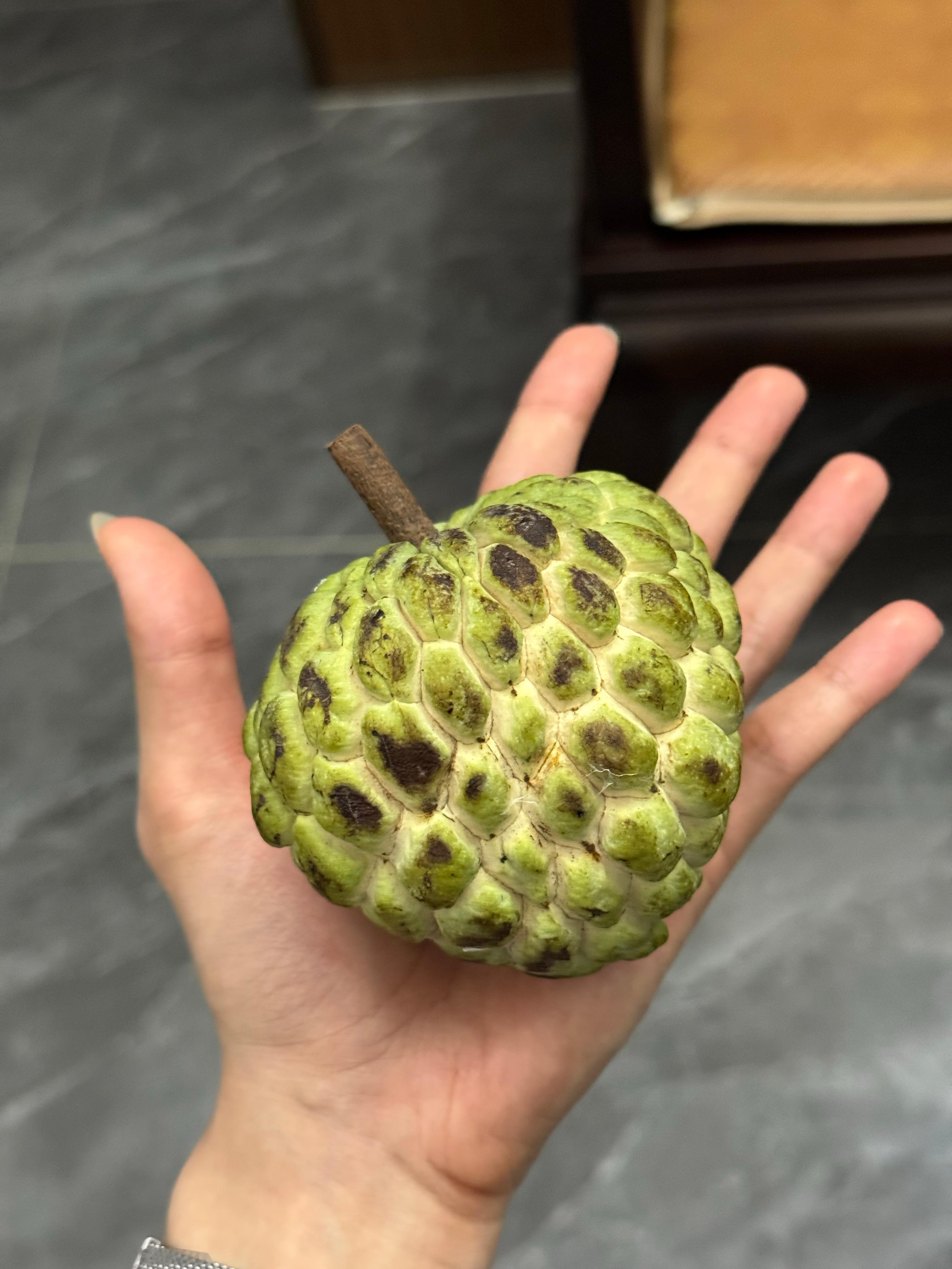 好久没吃了 甚是美味😋 ​​​