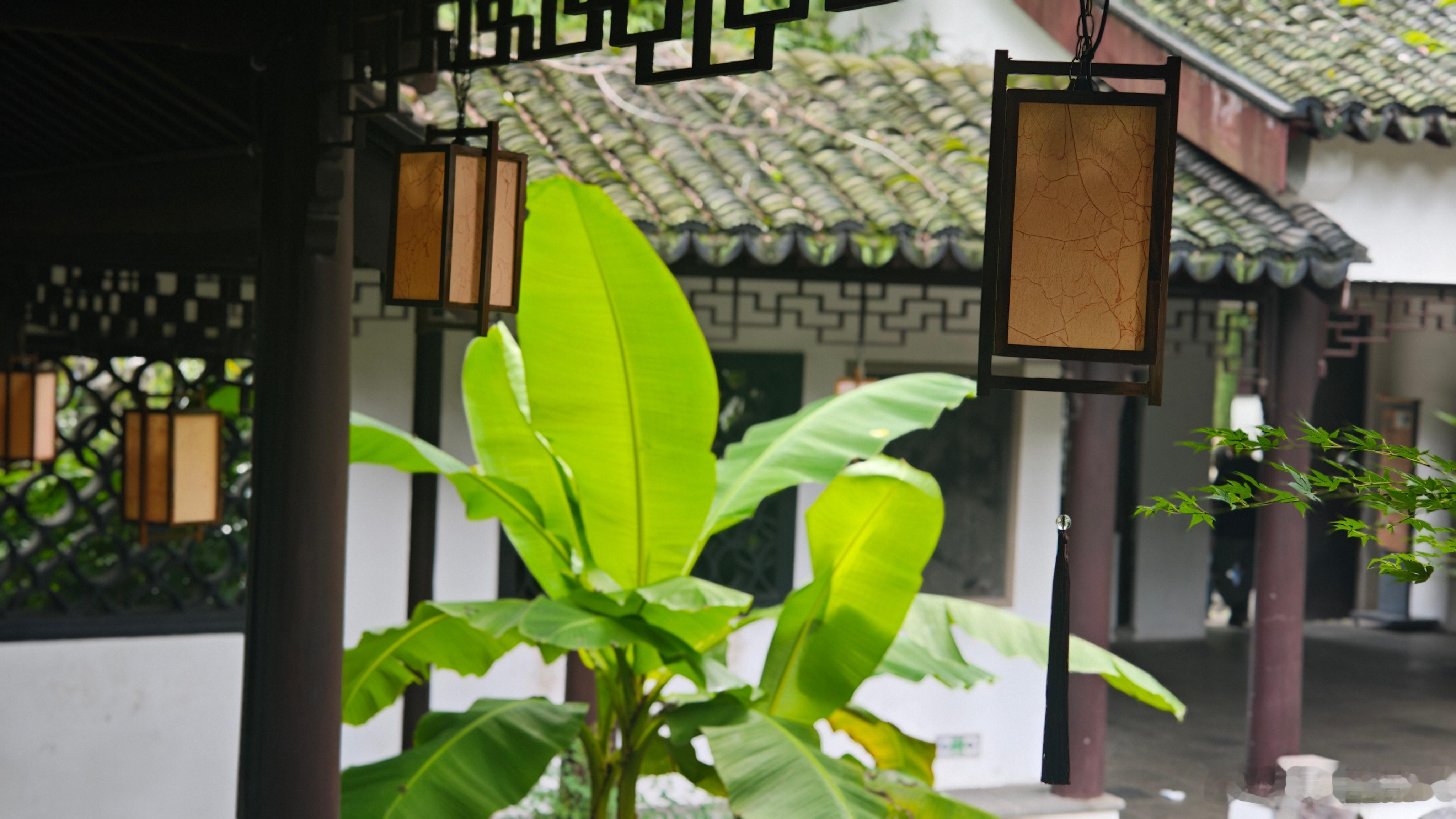 绿树阴浓夏日长，楼台倒影入池塘 夏