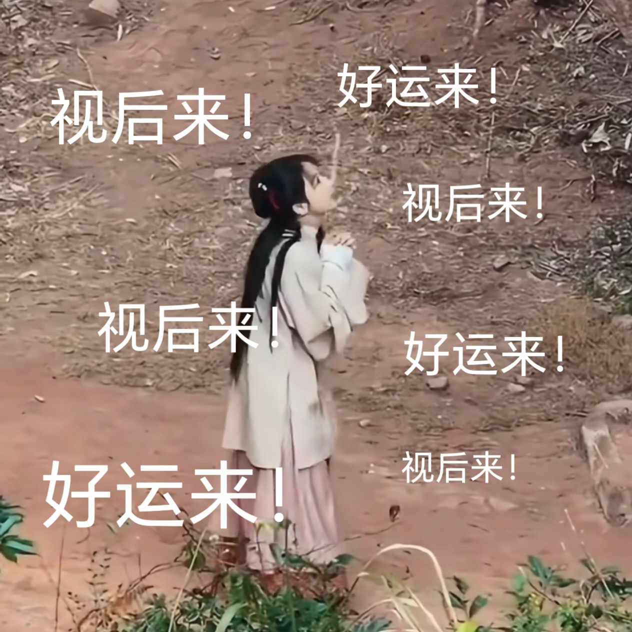 山神在上，一切好运今天给白菊🙏 