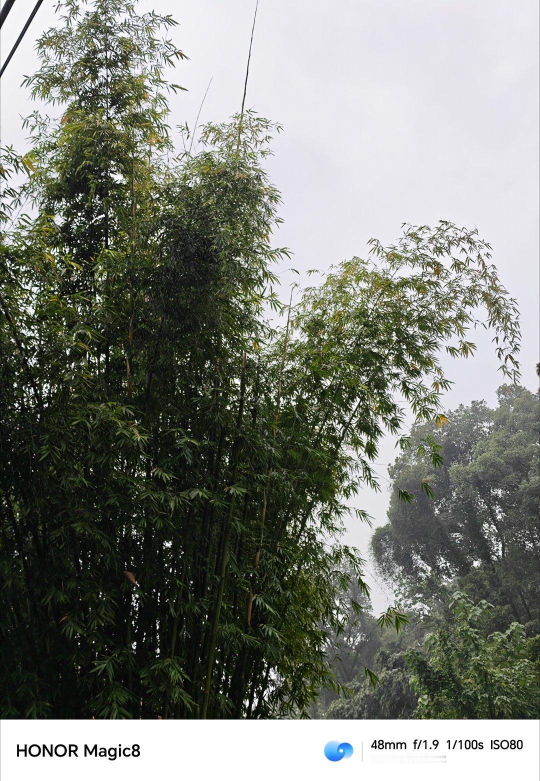 早上好！又是努力搬砖的一天每天早起打卡 ​​​