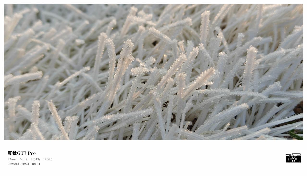 今天是我的生日，时间过得真快，感恩所有的相遇和陪伴，祝我生日快乐吧，愿世界和平，