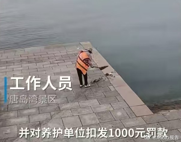 青岛一环卫工人将垃圾扫进大海“按下葫芦浮起瓢”！看似清理了陆地垃圾，实则引发海洋