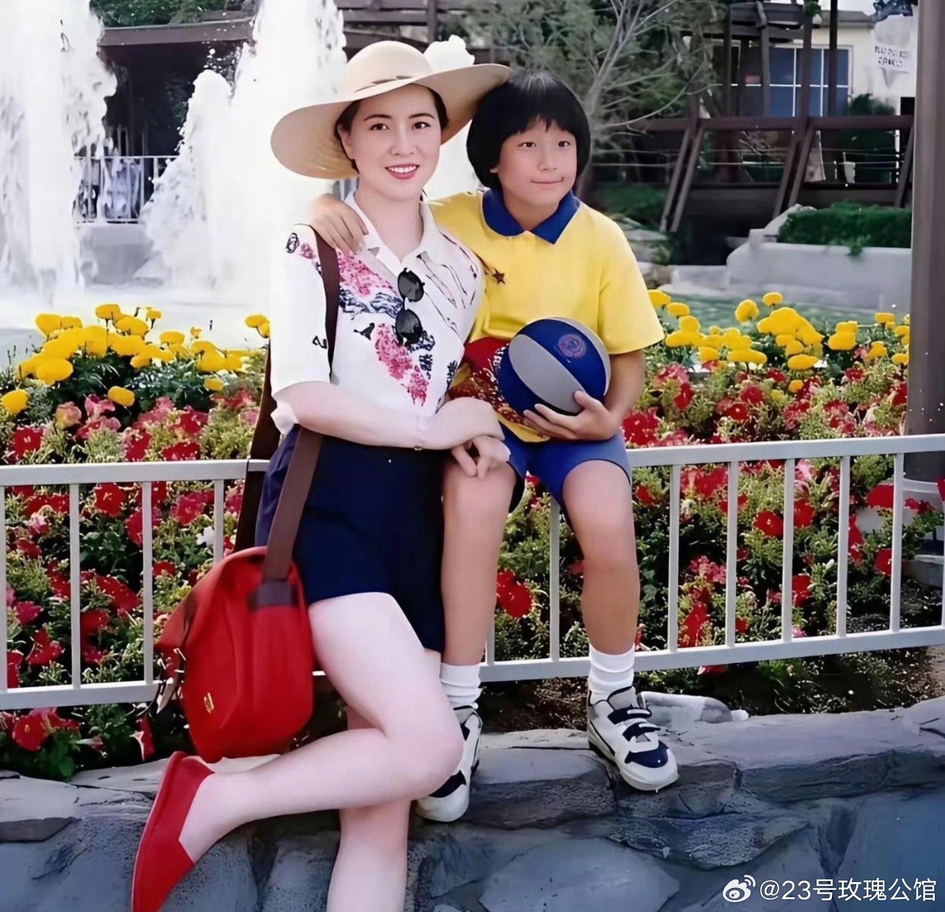 成龙老婆美颜不输林青霞太白了 就是隐退的早没看过几部作品 