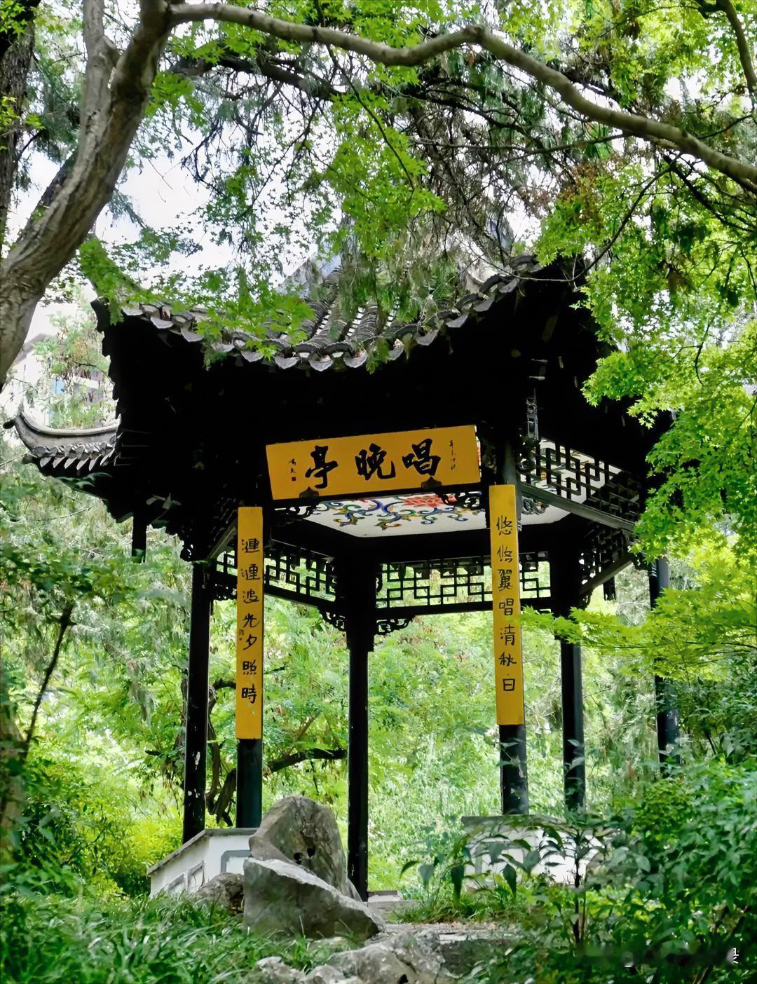 古人消夏，从不止于空调冷气，而是顺应天时、寄情自然。
寻树荫纳凉，煮清茗静心，听