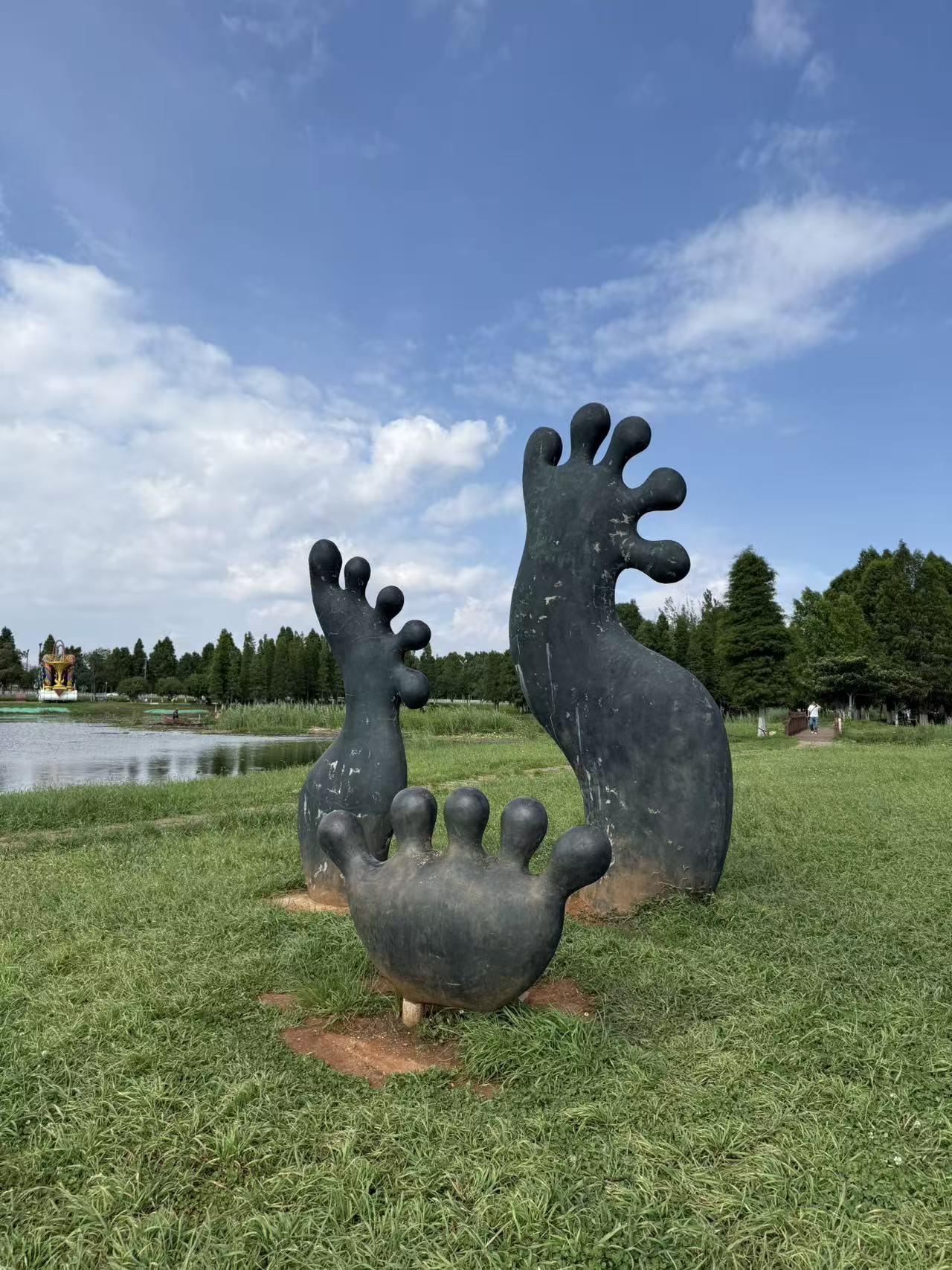 昆明宝丰湿地公园。                              位