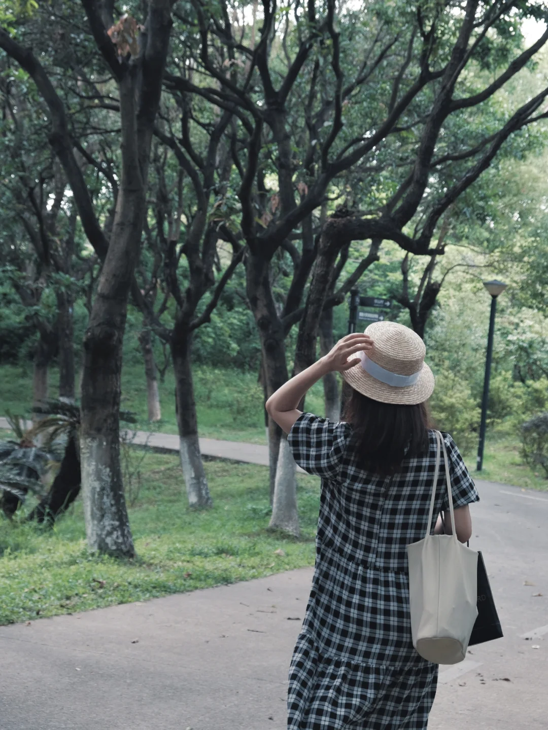 华侨城藏着个静谧公园｜这个小众林子太舒服