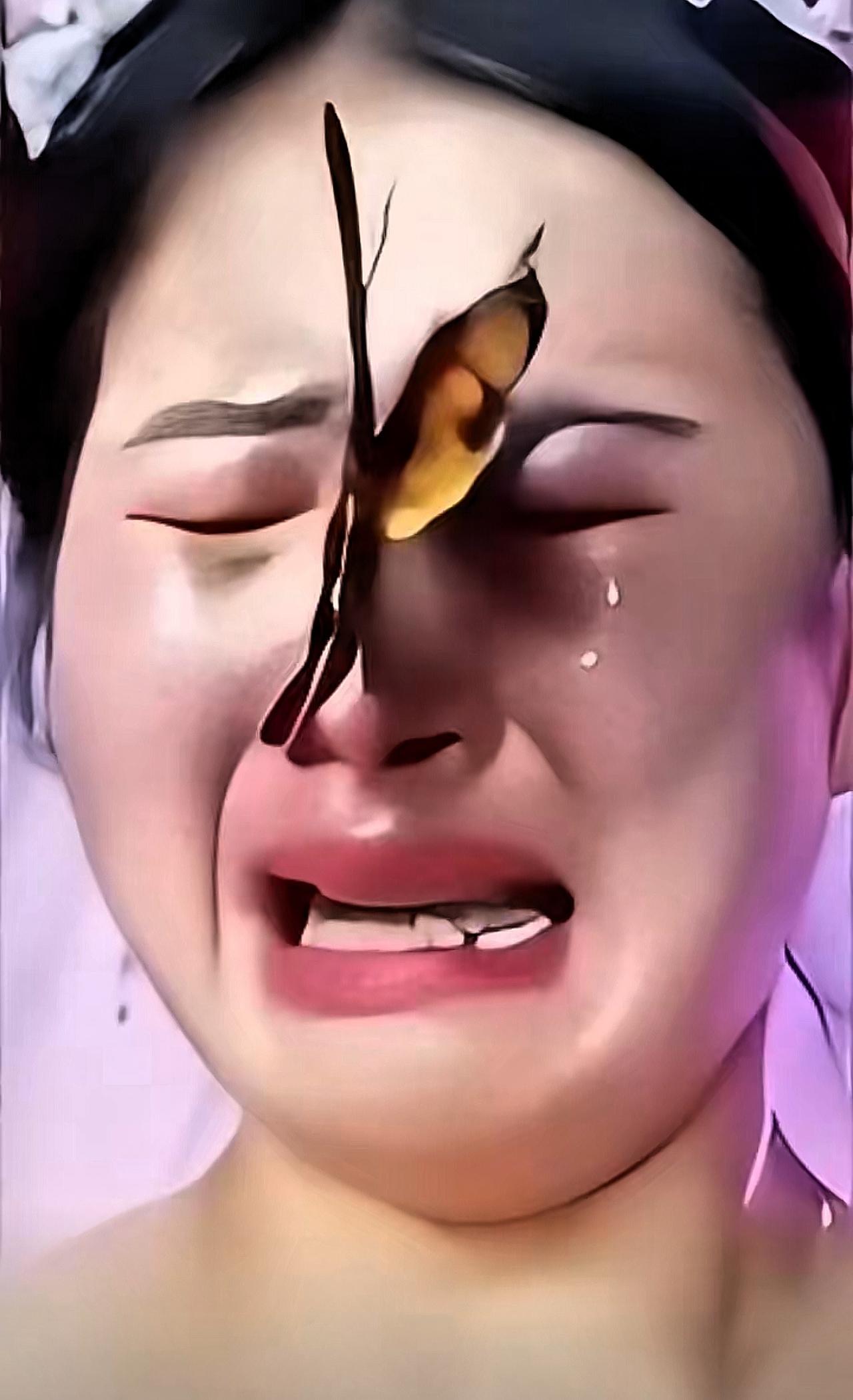 泪目！女儿出嫁日，一只蝴蝶停在她身上不肯走，她哭着喊“妈妈”

刷到这个画面时，
