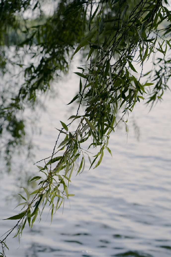 在这个太正常的世界，请继续保持神经病的体质，有最强的免疫力，抵抗别人对你的制约，