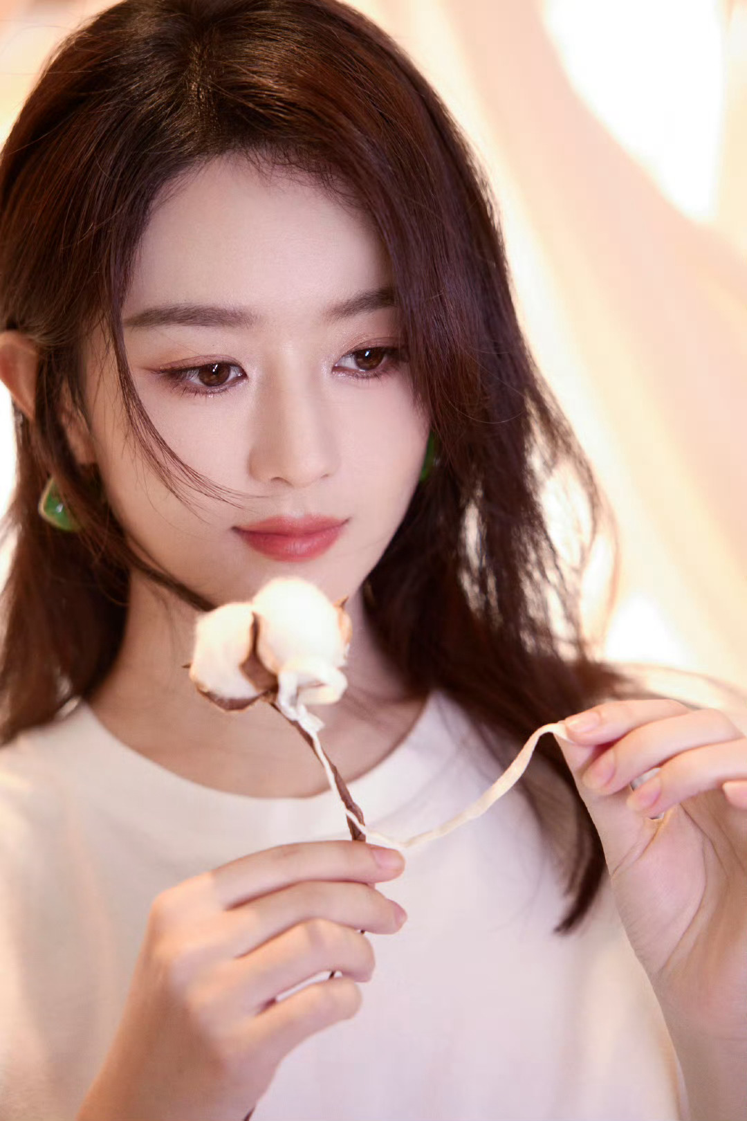 赵丽颖乔妍 zly赵丽颖第二十条 你是夏日限定的玫瑰冬日限定的雪花 𝒴𝓸𝓊