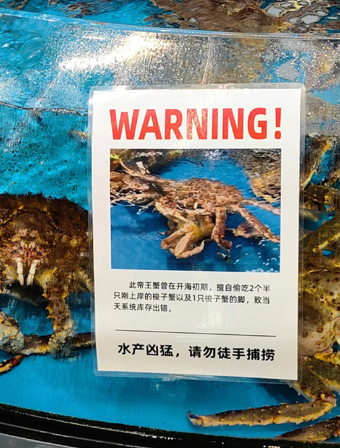帝王蟹：坏了！偷吃被发现了 ​​​