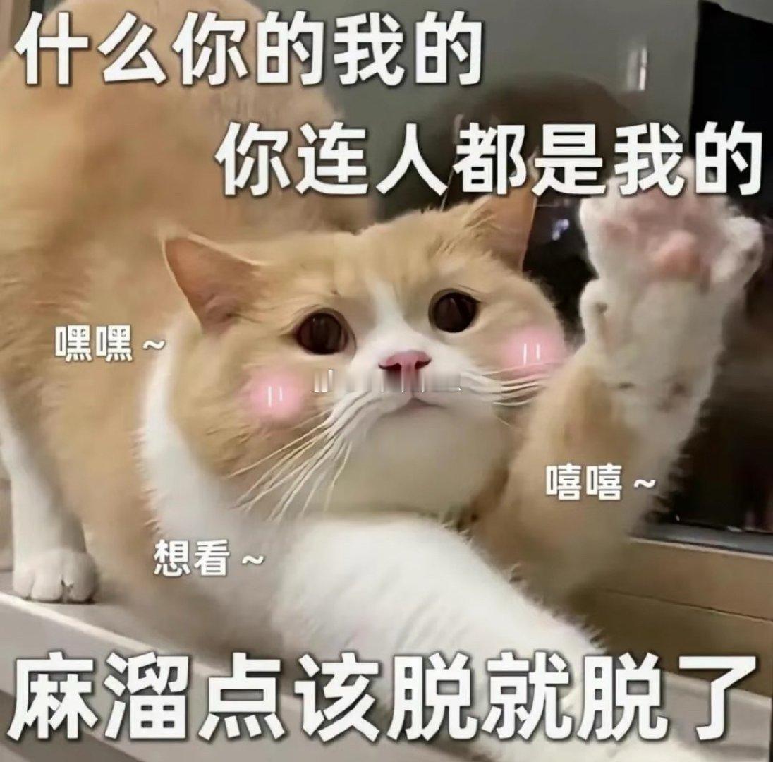 🐺不知道又去哪里学的，一看到镜子就完全按捺不住🐺：站镜子前面让我撞几下🐺：