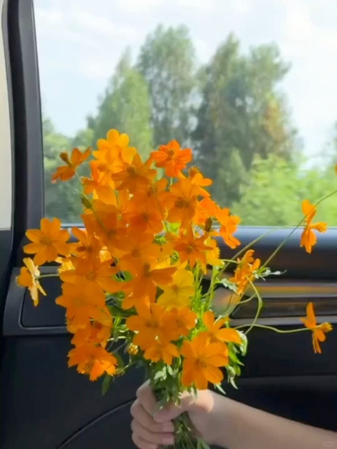 我爱这个炽热的夏天“一个如同恩赐般从天而降的夏天，充满力量与光芒，诱惑与魅力，像