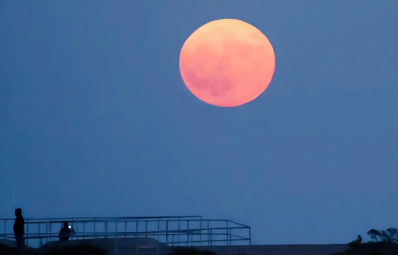 马斯克的大饼越画越大了！据多家国际科技媒体爆料，他居然想绕开地球发射台，直接在月