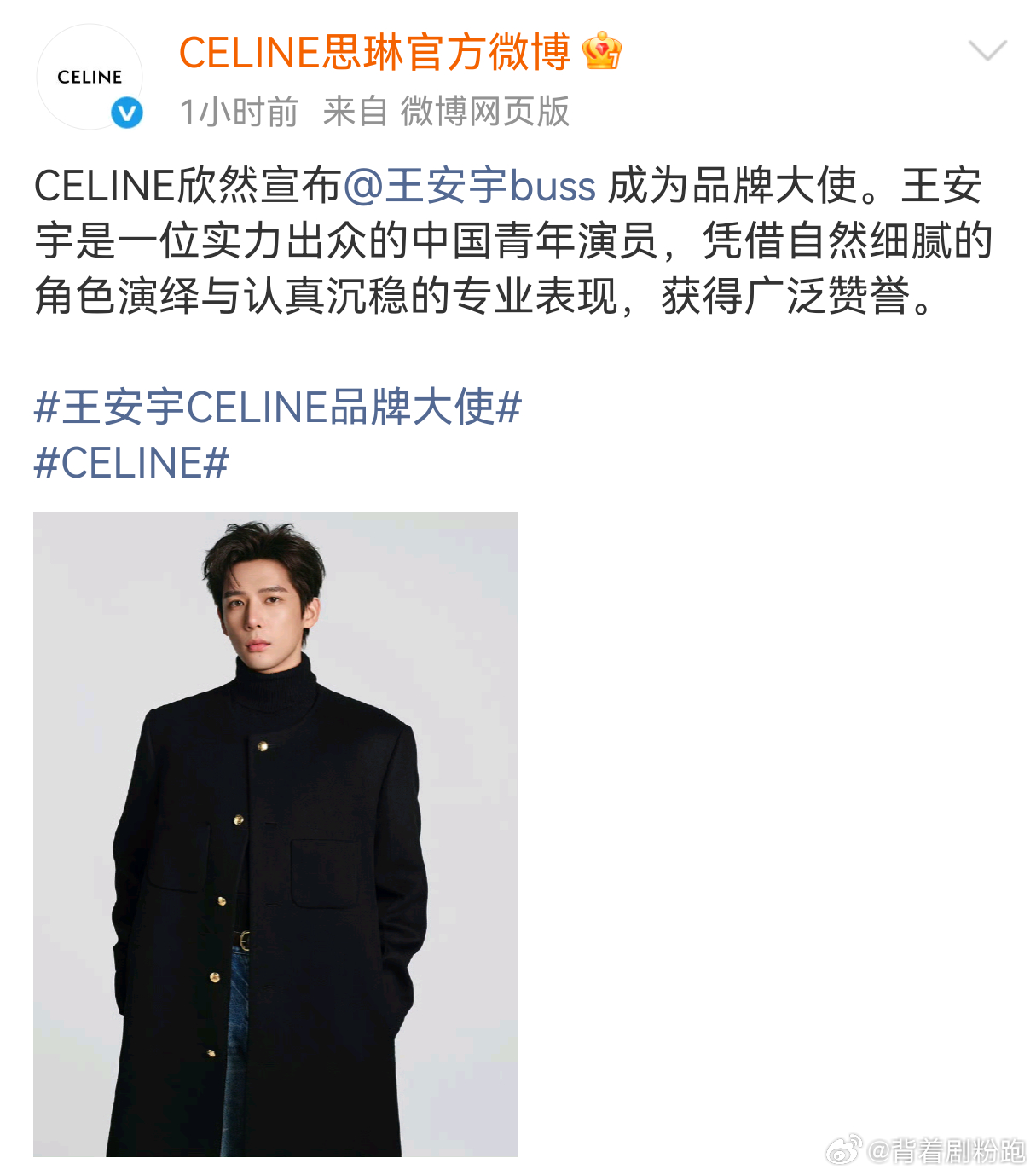 王安宇CELINE品牌大使官宣，成为国内首位男性品牌大使，谁懂这个官宣排面，今天