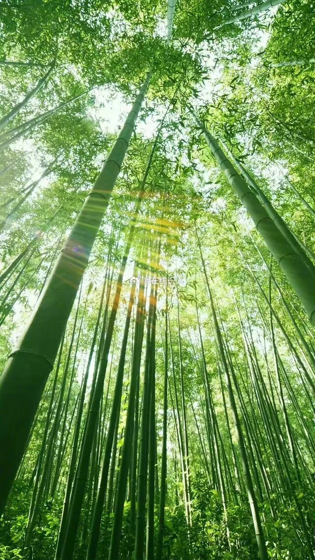 人来这世上走一遭，本就该好好的过日子，向前看，向上走，按照自己的意愿，好好经营这