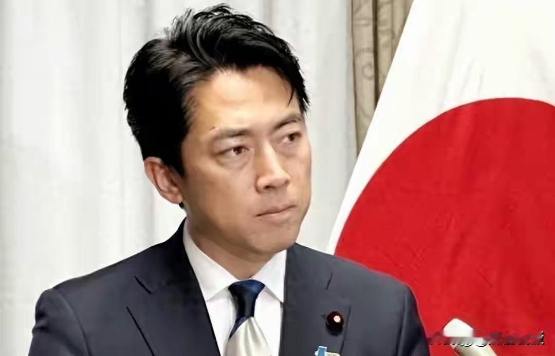 日本政府向全世界宣布，它们就是没有认清形势，没有找准定位！

日本防卫大臣认为，