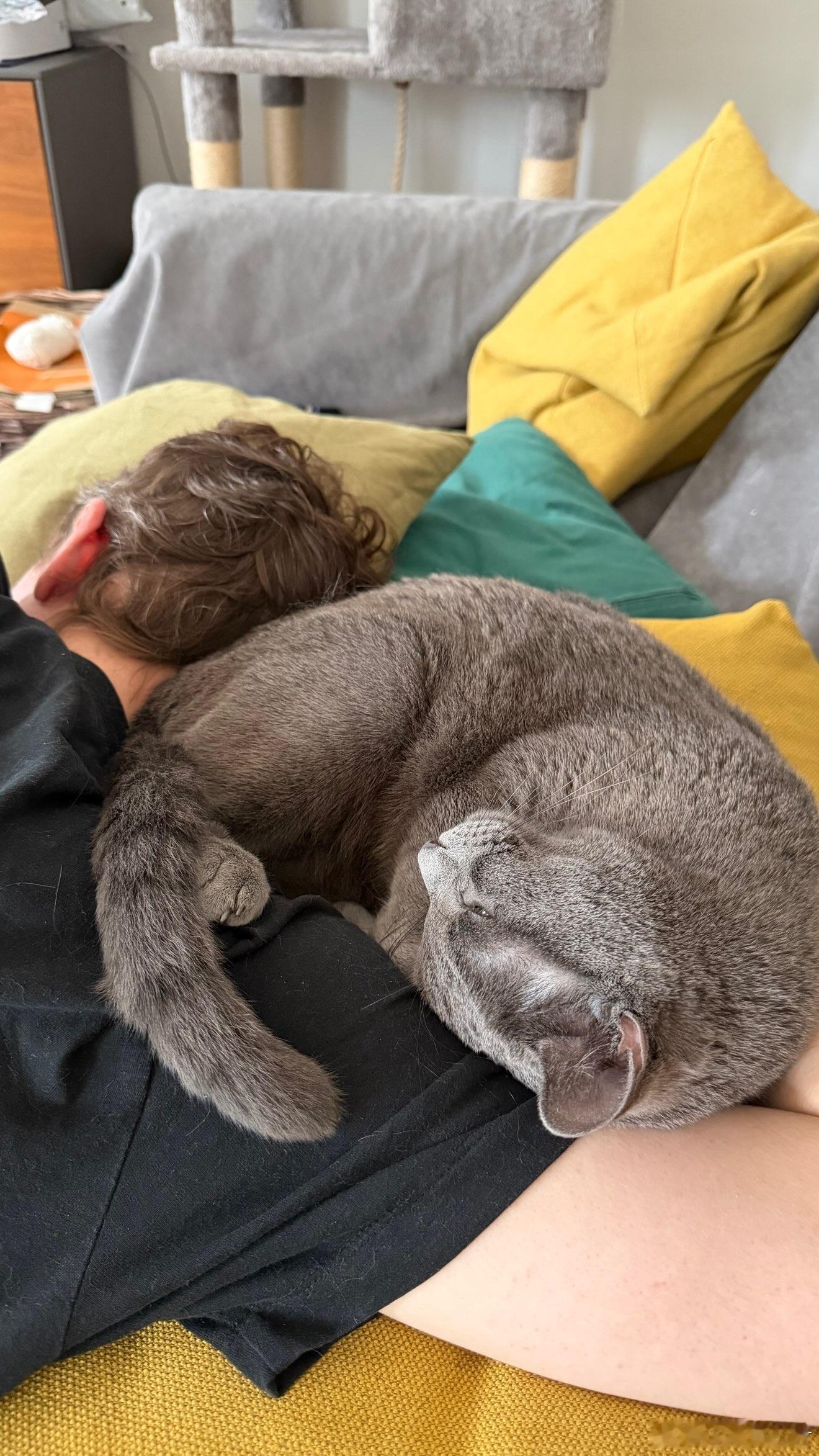 Boaster & 猫猫©️Boaster快拍VCT选手日常无畏契约电竞