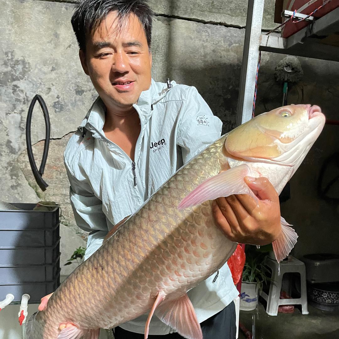 王喜鱼钓