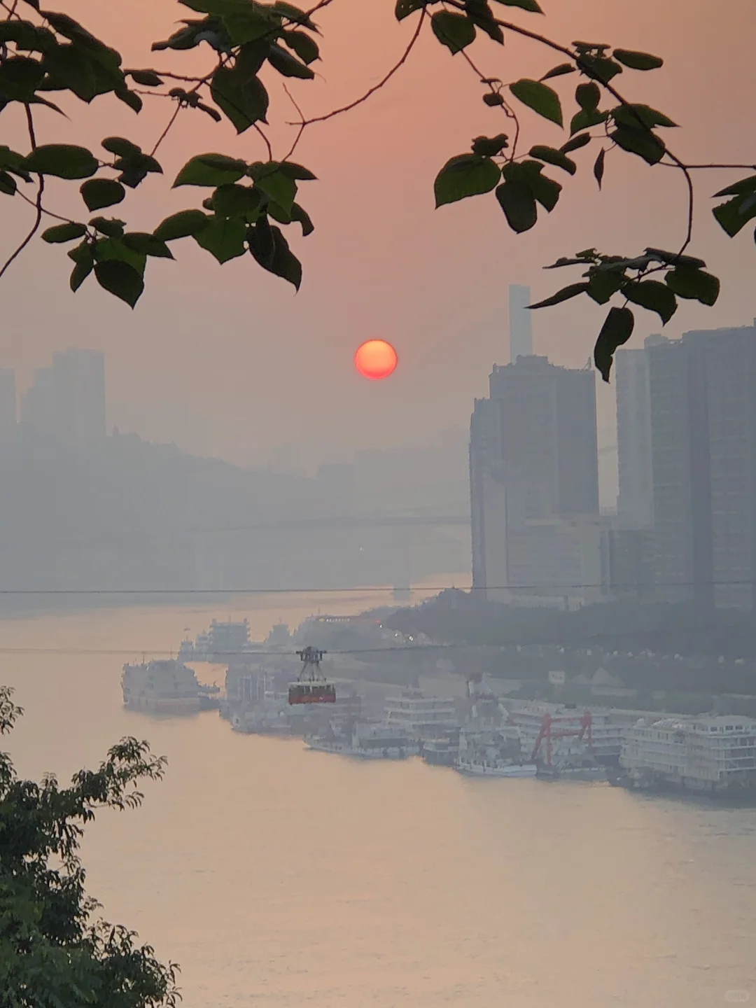 11月30日的重庆日落，像极了洪湖青泥巴农场的咸鸭蛋的蛋黄，太浪漫啦！...