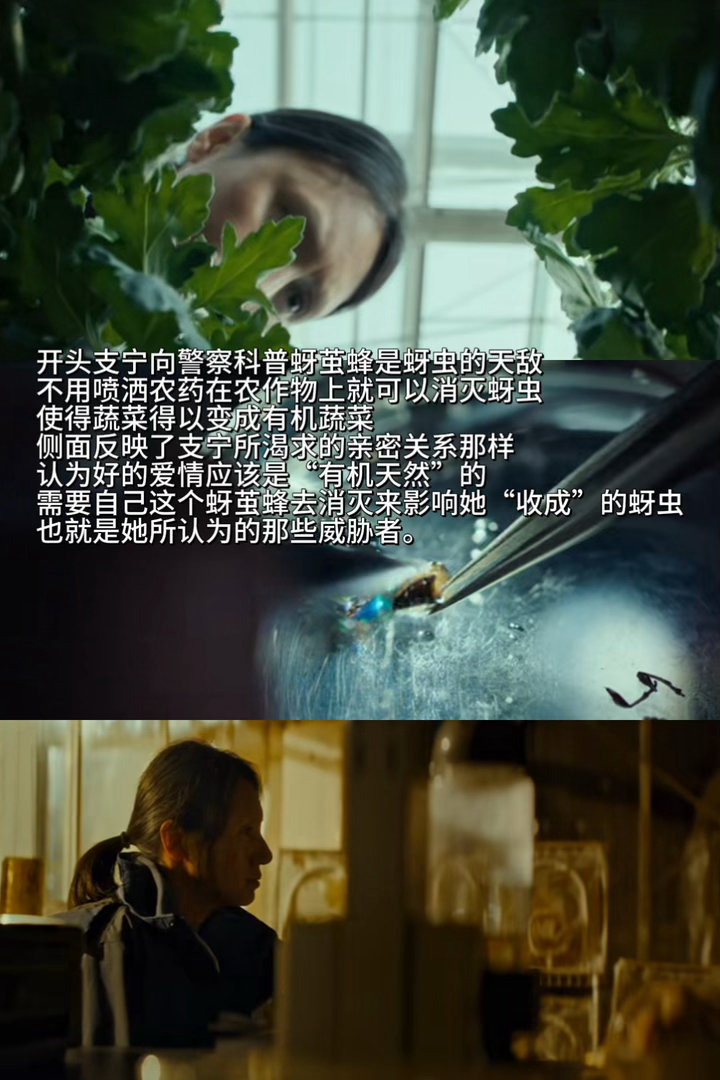 真正的老娘电影来了 支宁这个角色太疯了，但疯得好。她不是那种被伤害后才反抗的女性