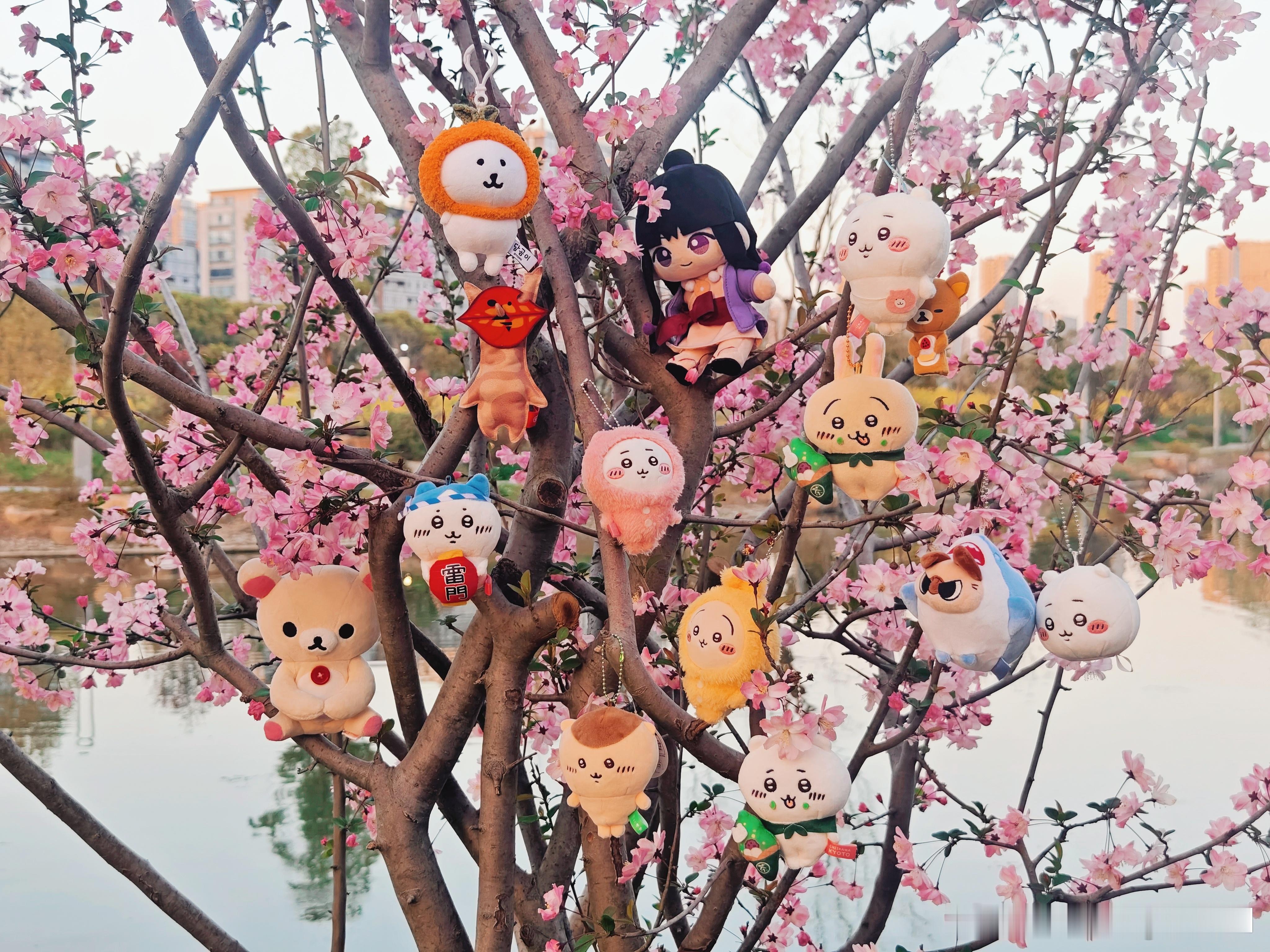 分享图片 ​​​