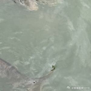 善行缘于善心，有着善的心灵，就如同一股清泉，永不枯竭，清纯甘甜，发自内心的善，才