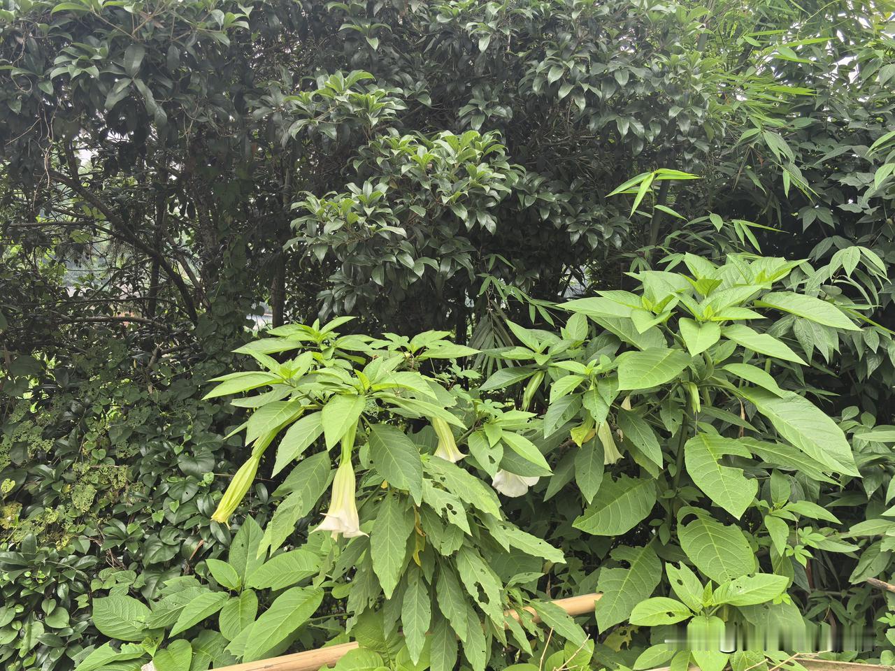 我认为不支持，虽然电话手表让家长可以随时监测孩子的行踪，为孩子的安全提供了一定保