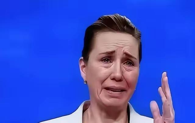 2月14日，慕尼黑安全会议上，丹麦首相弗雷泽里克森掷地有声：格陵兰岛绝不出售，美