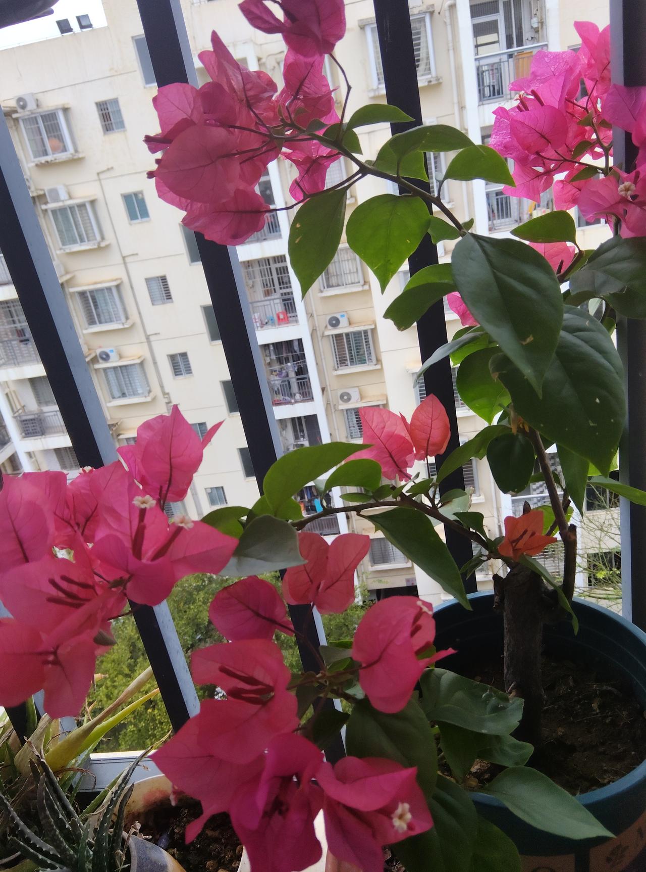 我近期创作的内容被官方加热啦！👍你也快来发布一条吧！带