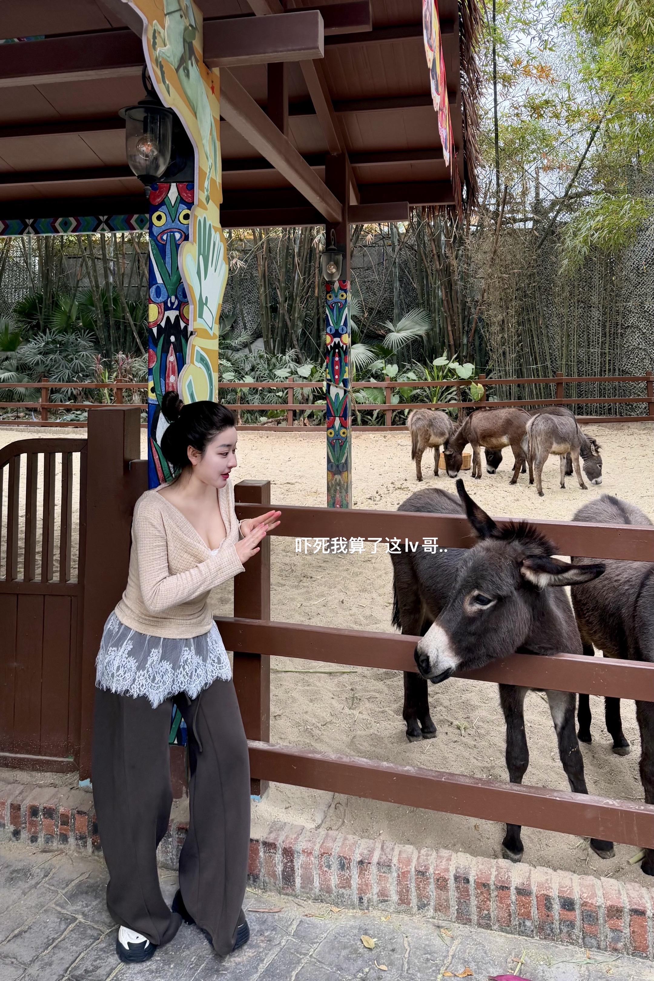 菲菲 我每天都会点开你的猪页 看看你更新的猪头照片 因为我对你的爱永远在线