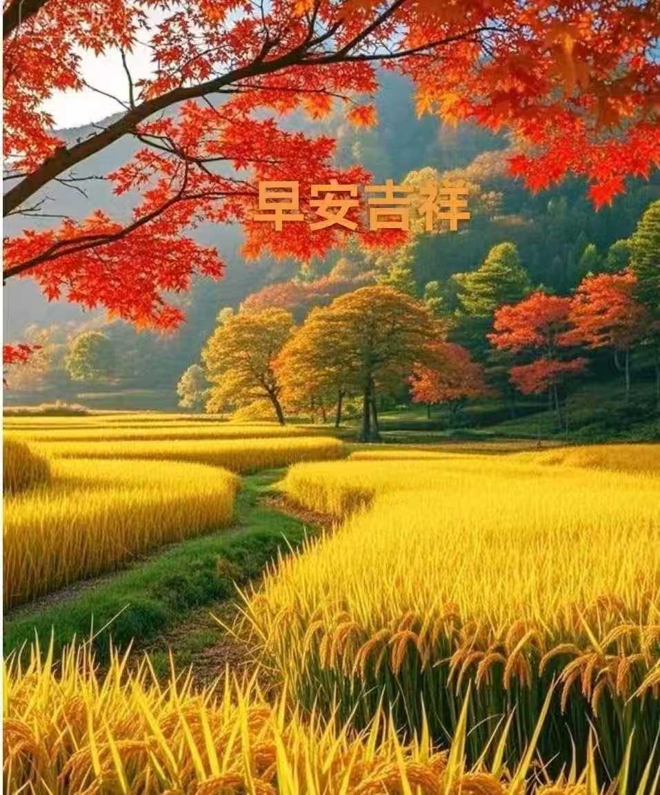 清晨起床又一天，
首先問候送平安，
期待明天更美好，
幸福安康同時在，
快樂吉祥