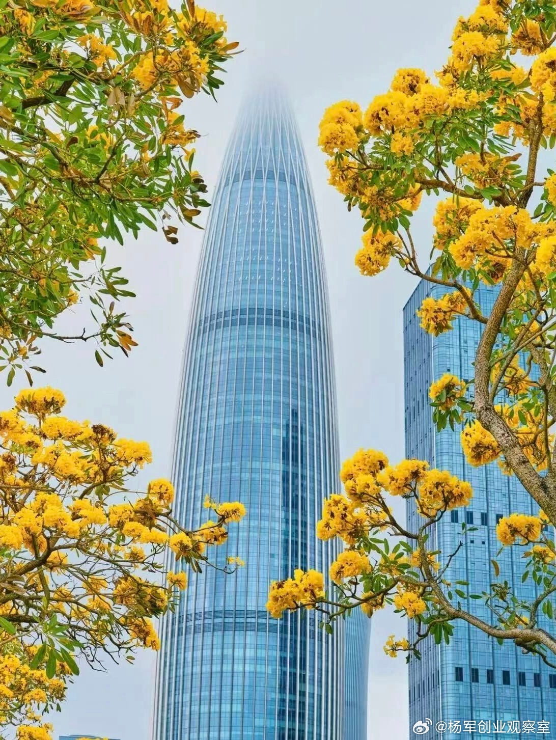 【对赌协议实战指南 | 业绩承诺违约应对策略】结合实践，分享关键策略与法律解释角