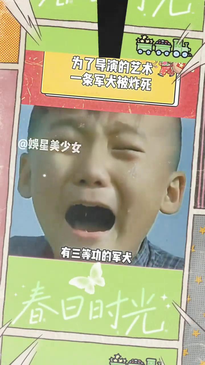 为了一个爆炸镜头，他们炸死了一条有三等功的军犬。
娱星美少女。
电影犬王在拍摄时