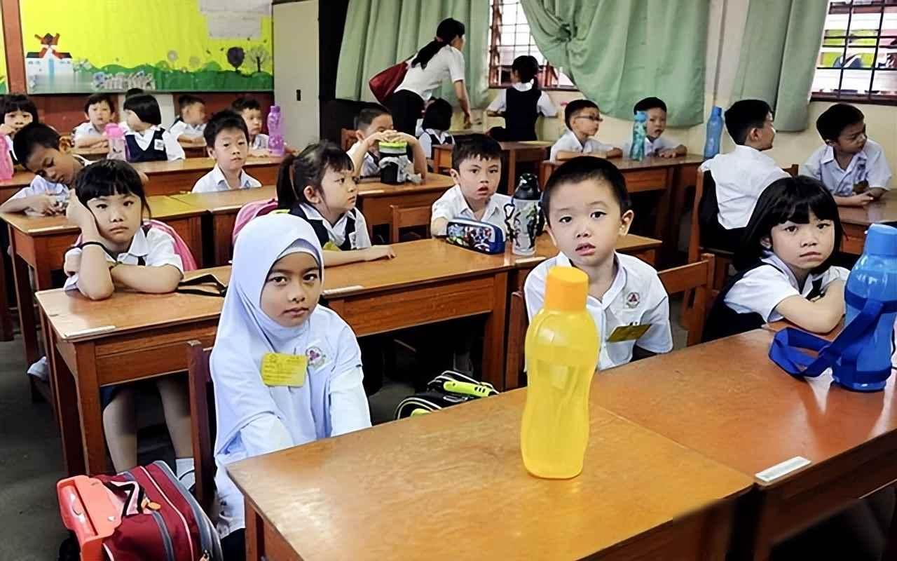 第三个以汉语为官方语言的国家，将诞生？中国崛起的影响力在扩大…

       