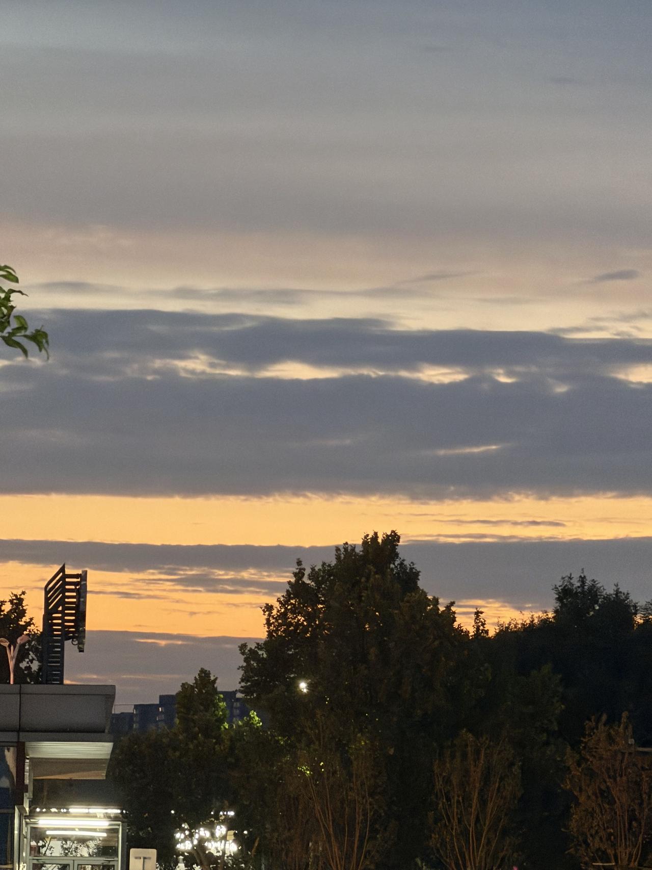 夕阳西下，树影婆娑，静谧的黄昏时光。分享你随手拍的风景 你认为高考成绩与智商有关