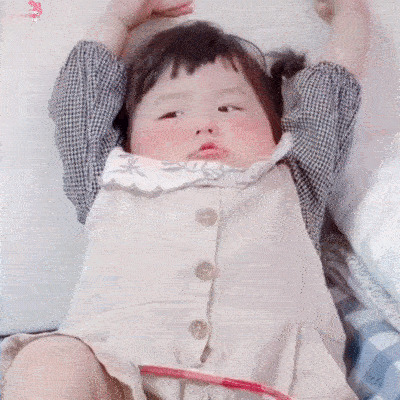 小狗参加运动会好小众画面 看到狗狗们在赛场上奔跑的样子就觉得好快乐，它们不是在被
