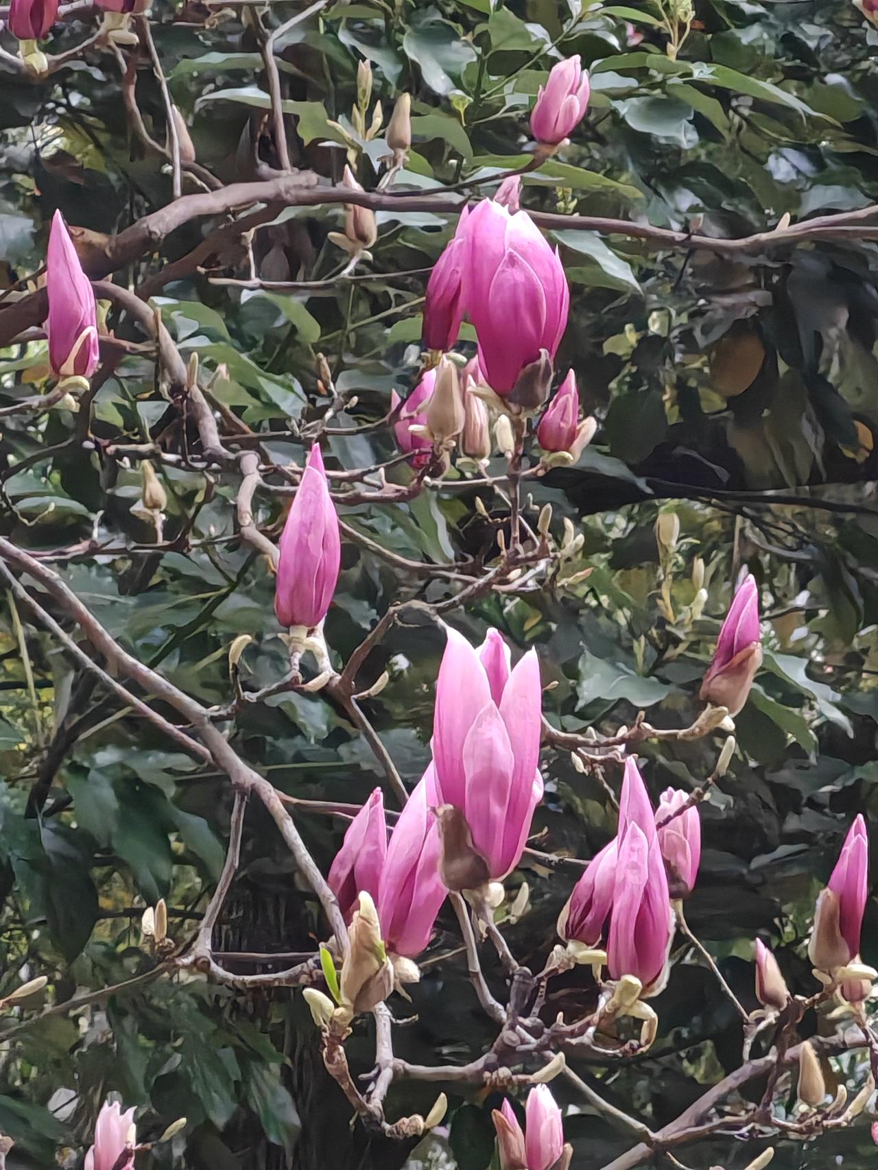 美伊战争已进入到第10天，伊朗虽然遭受重创，但凭借霍尔木兹海峡这张王牌和不对称作