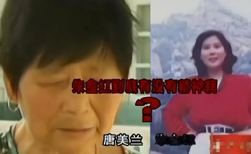 2010年，江苏南通女子朱金红远嫁日本后，在国内购置北京，上海，南通三套房产，总