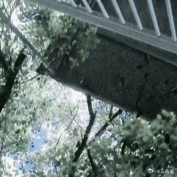 我有一片胡杨林 🔮每个孩子都是一座宝藏 懂得宽恕，懂得原谅，开心的是自己，懂得