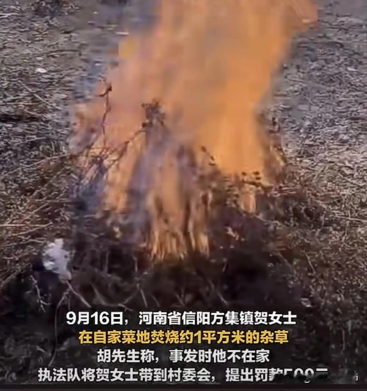 自家地里烧1平米杂草被罚500元，法律怎么看？
 
大家好，我是安剑律师事务所周