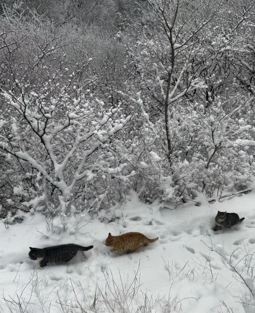 反者道之动：深耕慢做