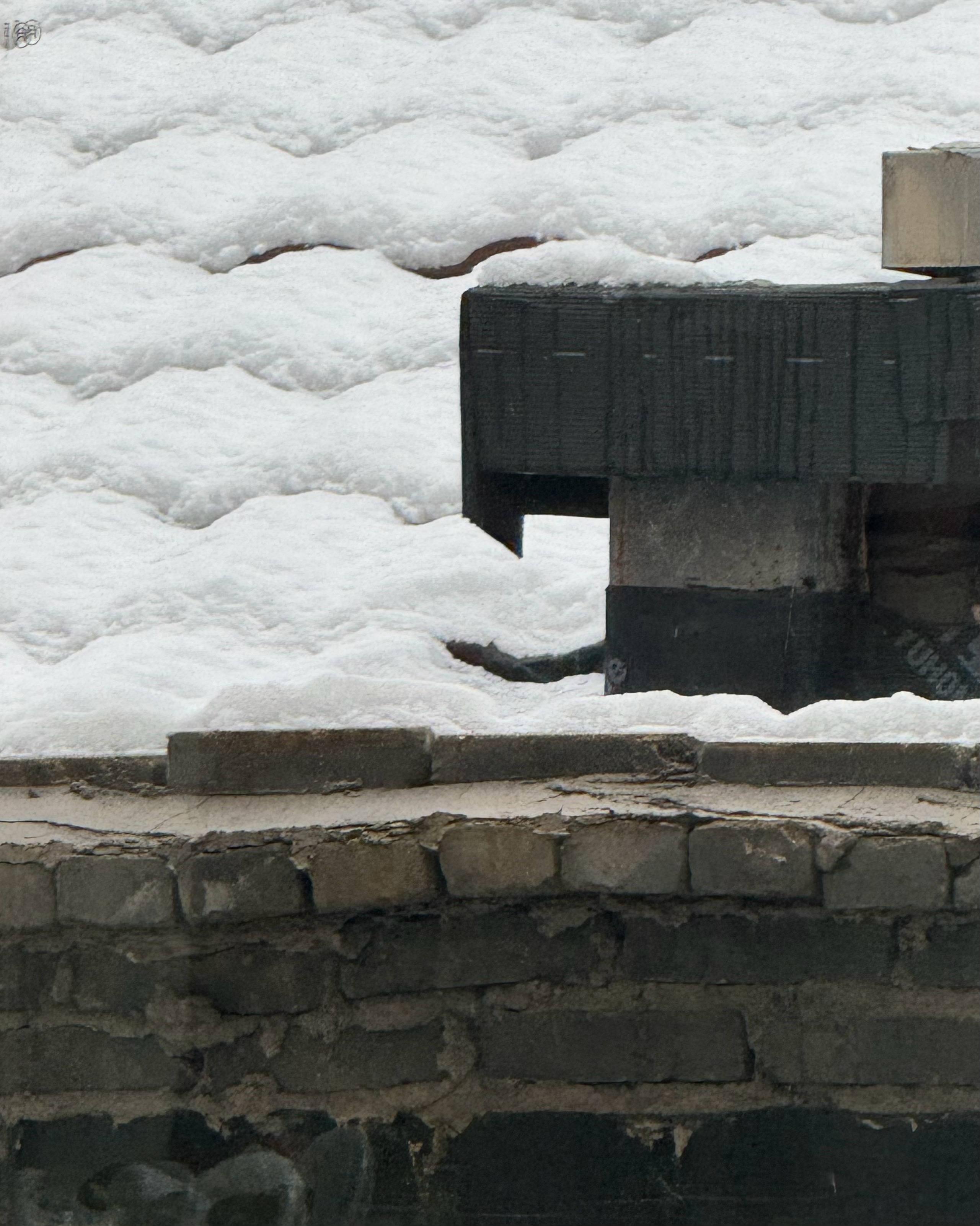 雪花打在脸上真疼 