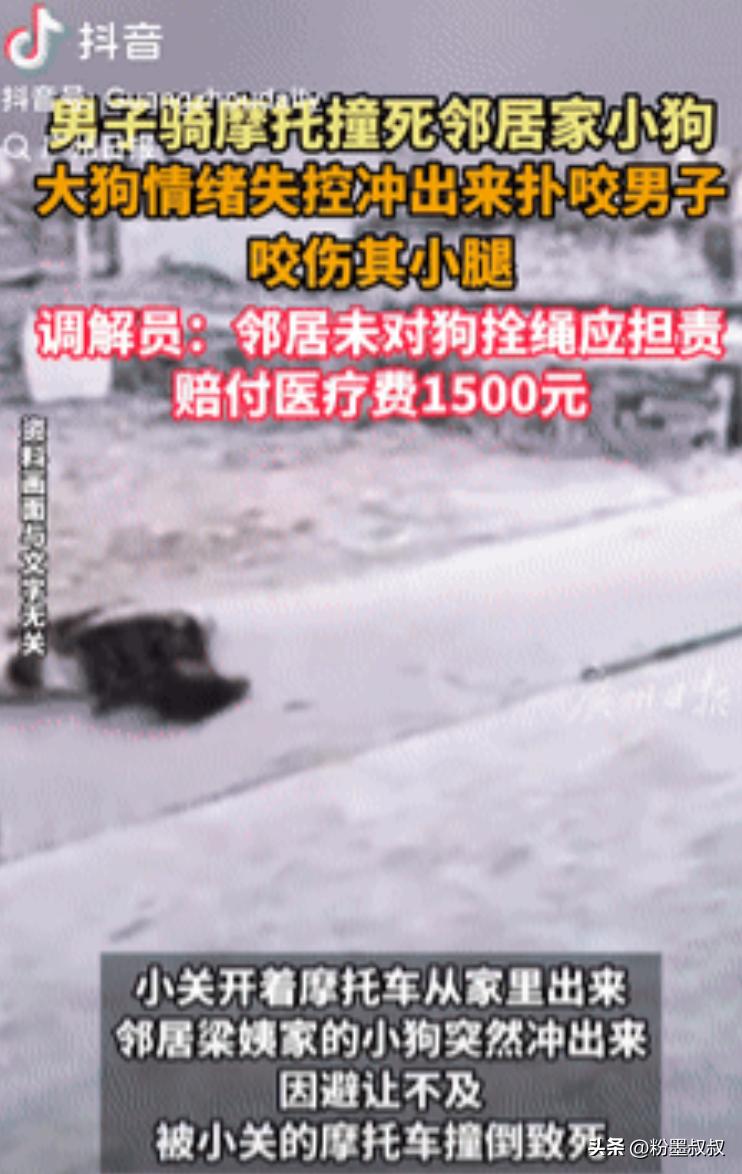 真够倒霉的！广东肇庆，一男子骑摩托出门时，邻居家的小狗突然冲出来，男子避让不及将