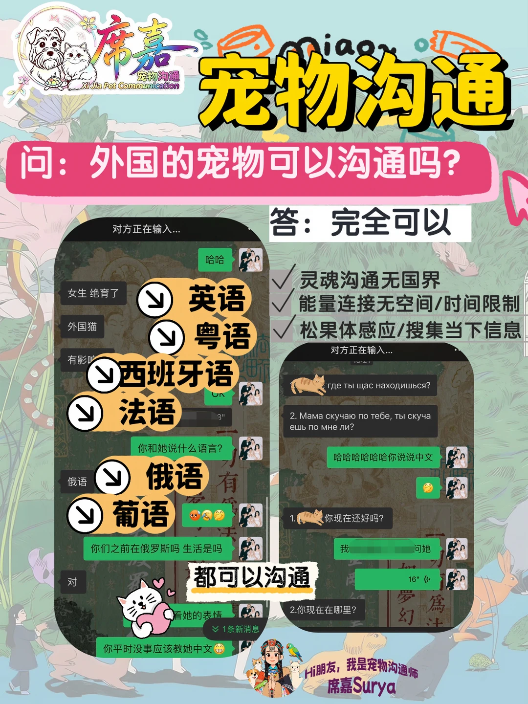 宠物沟通｜毛孩子会用什么方式和你沟通