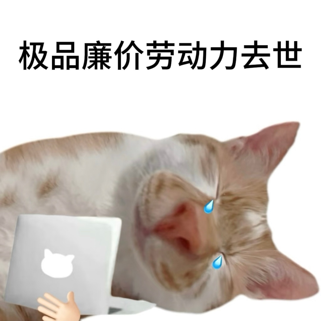 计划用知识改变命运，结果知识都用来改PPT了。 